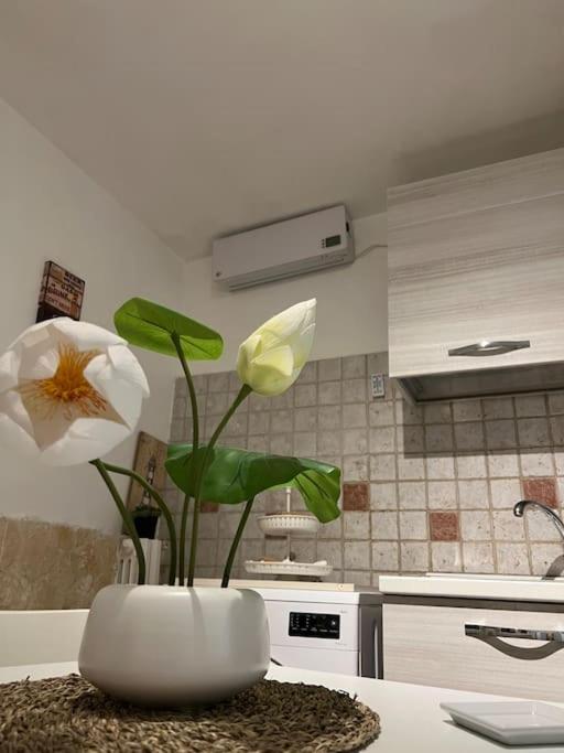 בארי Casa Vacanze “Da Concetta” מראה חיצוני תמונה
